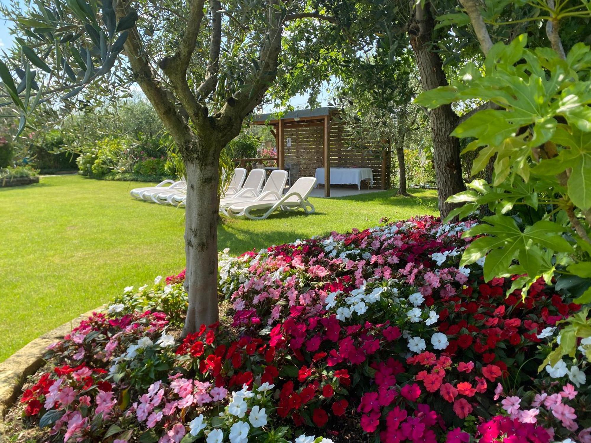 Agricampeggio Oasi Del Garda Lazise Exterior photo