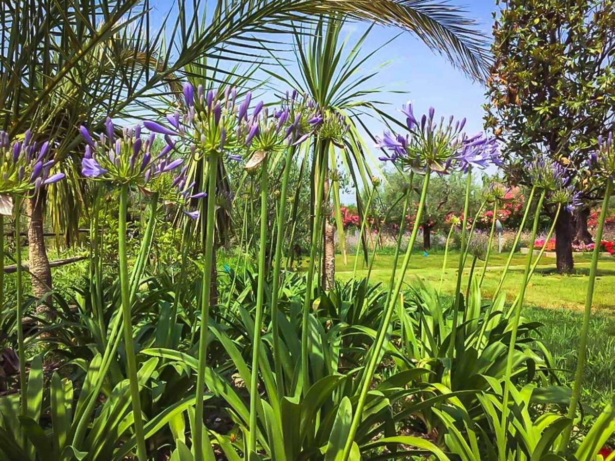 Agricampeggio Oasi Del Garda Lazise Exterior photo